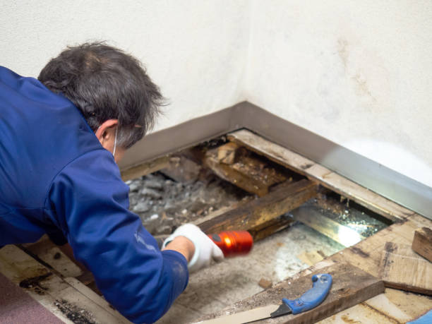 Best Crawl Space Mold Removal  in Charlotte, TN
