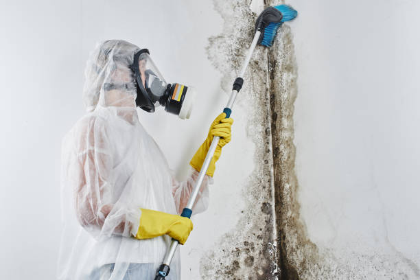 Water Damage Restoration in Charlotte, TN
