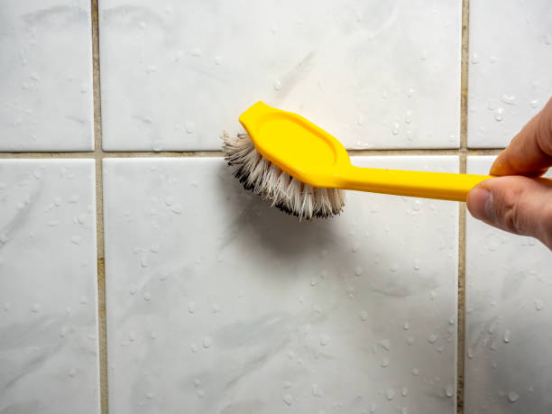 Charlotte, TN Mold Removal Company
