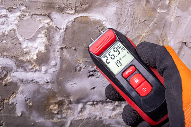 Certified Mold Removal in Charlotte, TN