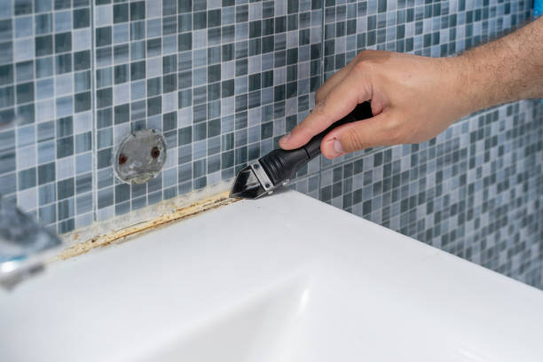 Best Fast Mold Removal  in Charlotte, TN