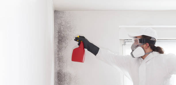 Best Home Mold Removal  in Charlotte, TN