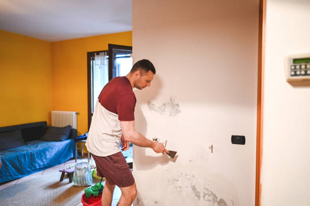 Best Residential Mold Removal  in Charlotte, TN