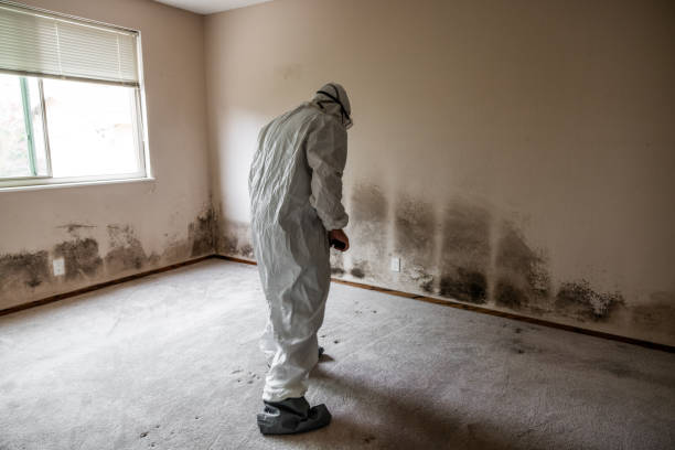 Best Crawl Space Mold Removal  in Charlotte, TN