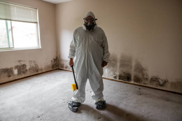Trusted Charlotte, TN Mold Removal Experts