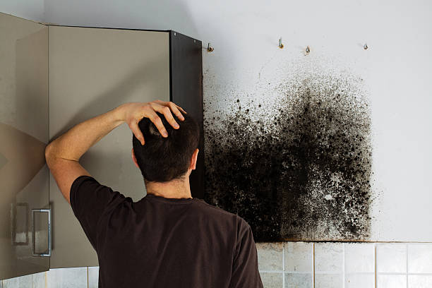 Best Mold Testing  in Charlotte, TN